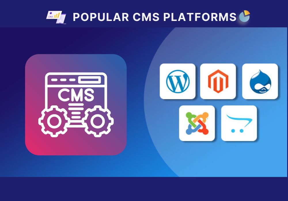 popular content management system (CMS) platforms